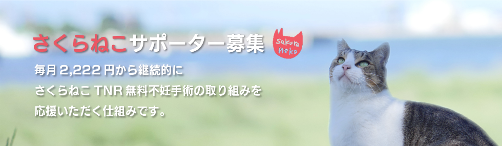 さくらねこサポーター募集